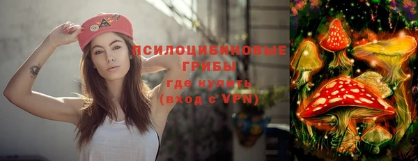 эйфоретик Краснослободск