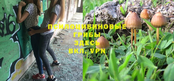 мдпв Кукмор
