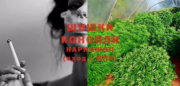 эйфоретик Краснослободск