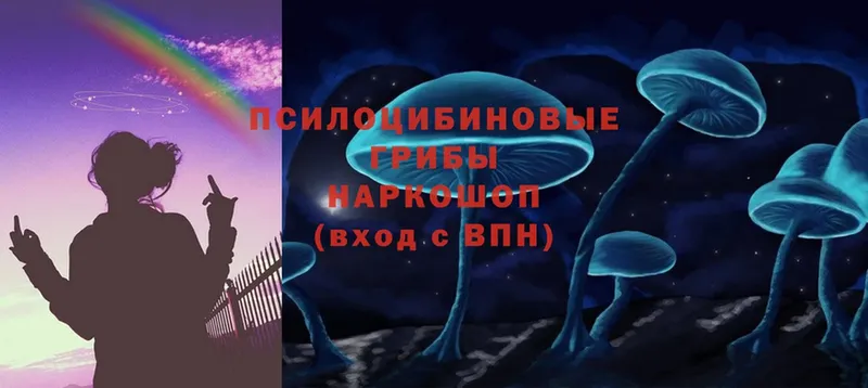 Галлюциногенные грибы Cubensis Лабытнанги